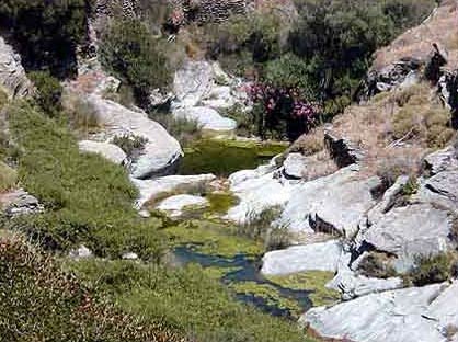  ANDROS PHOTO GALLERY - THE GORGE IN DIPOTAMATA