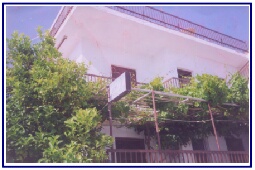 AMPELOS - BATSI